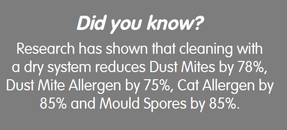 Dust Mite Information