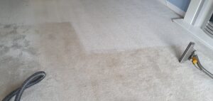 Carpet Cleaning